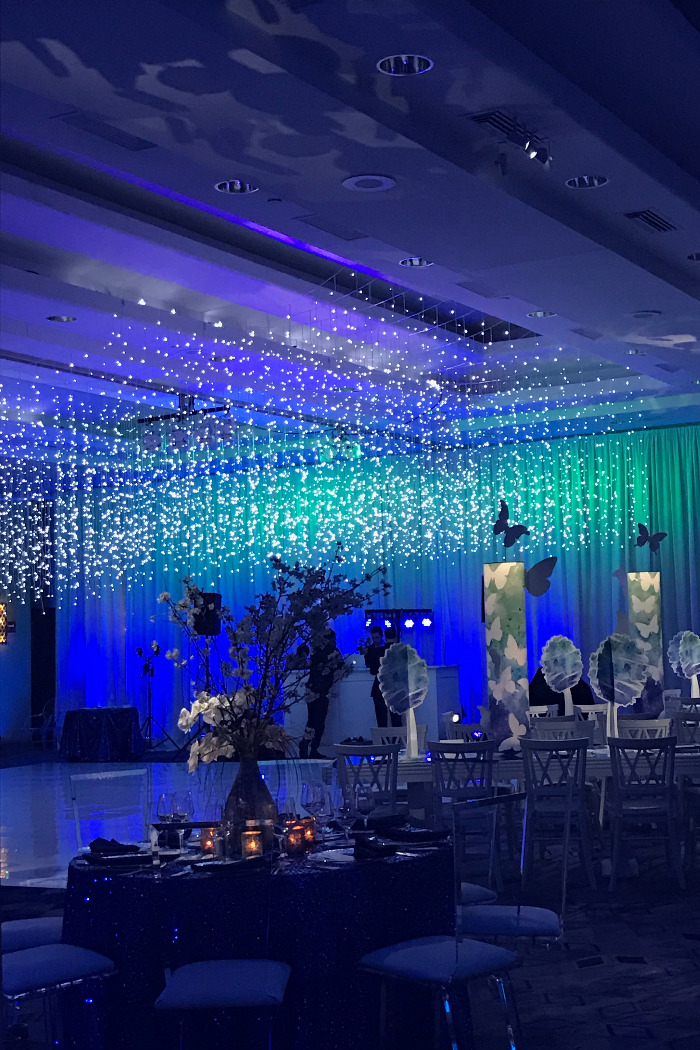 Butterflies Mitzvah